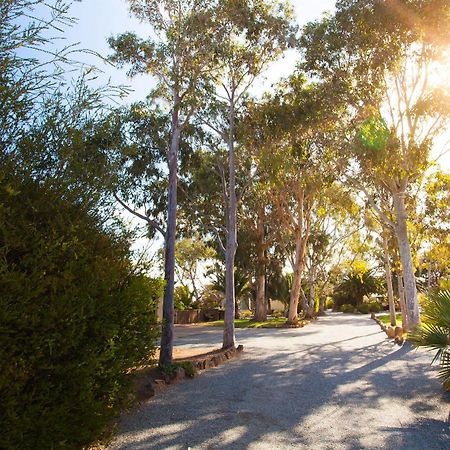 莫德拉公寓 Tumby Bay 外观 照片