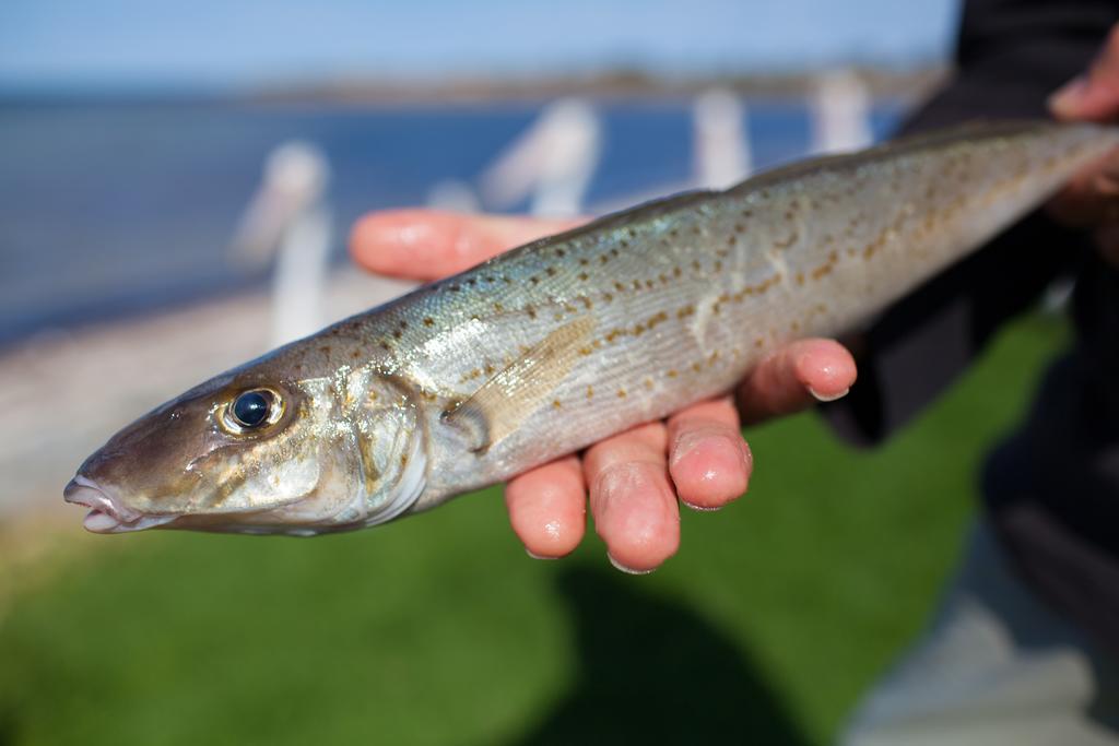 莫德拉公寓 Tumby Bay 外观 照片