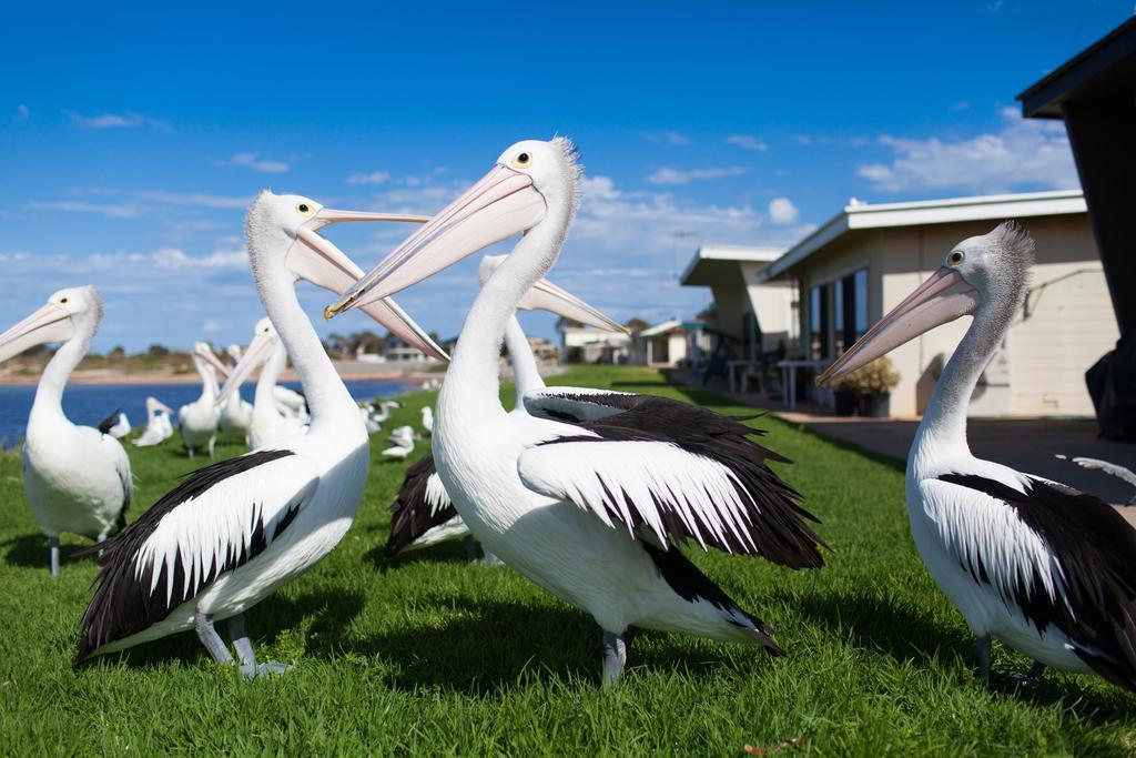 莫德拉公寓 Tumby Bay 外观 照片