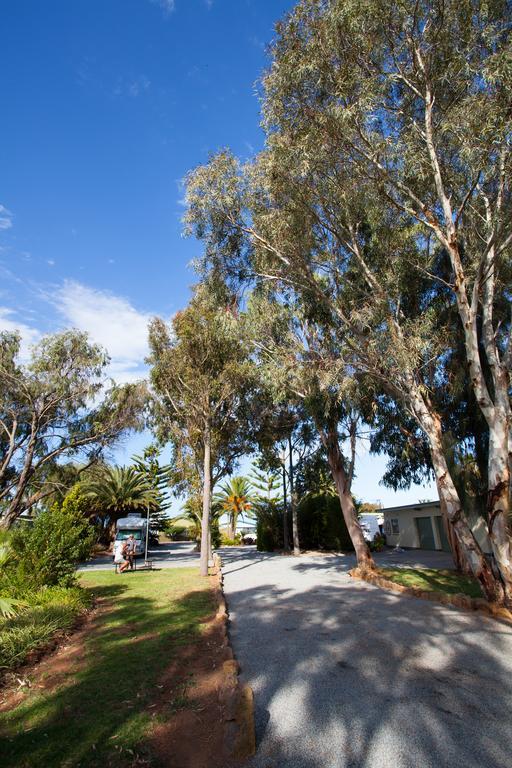 莫德拉公寓 Tumby Bay 外观 照片